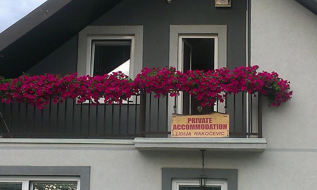 Private Accommodation Lidija Rakocevic Kolašin Εξωτερικό φωτογραφία