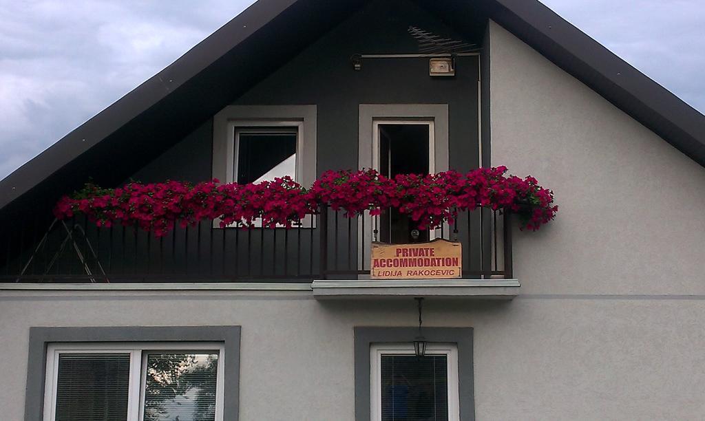 Private Accommodation Lidija Rakocevic Kolašin Εξωτερικό φωτογραφία